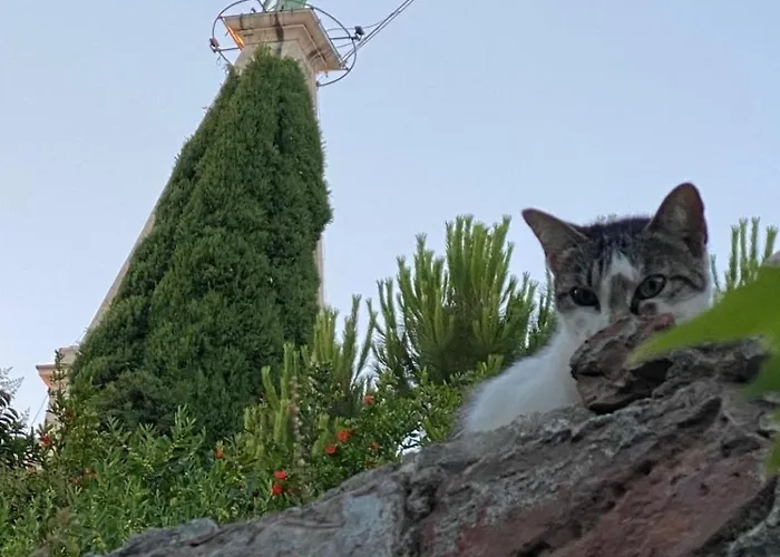 Casa Di Marko 105 M2 Garden * Rovinj