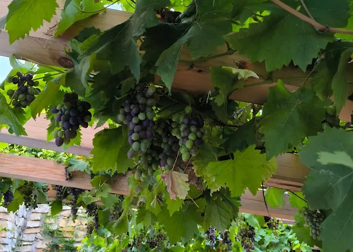 Lejlighed Casa Di Marko 105 M2 Garden